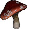 articles.png