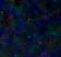 Der Mond ist "Neu"